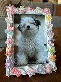 "Pastel Daydream" 4" x 6" White Deco Frame