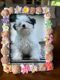 Tropical Beach Seashell Deco Frame (5x7)