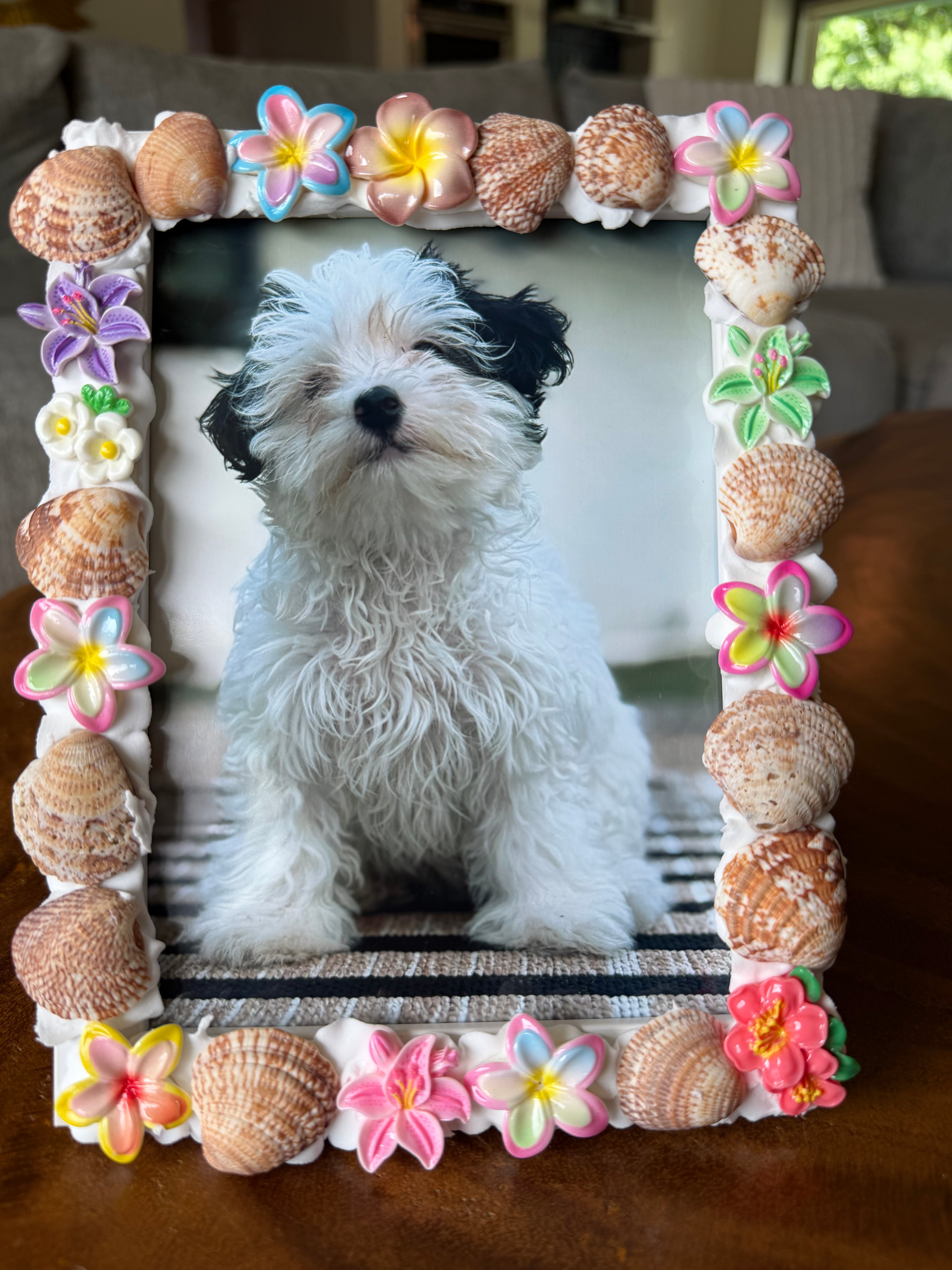 Tropical Beach Seashell Deco Frame (5x7)